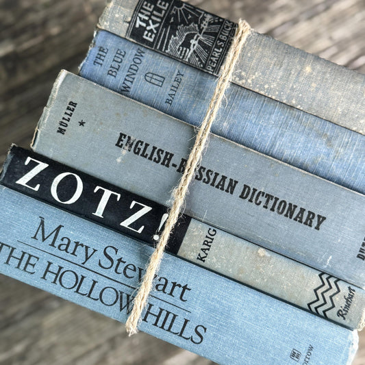 Light Blue and Black Vintage Decorative Book Bundle for Shelf Styling - Pretty Old Books
