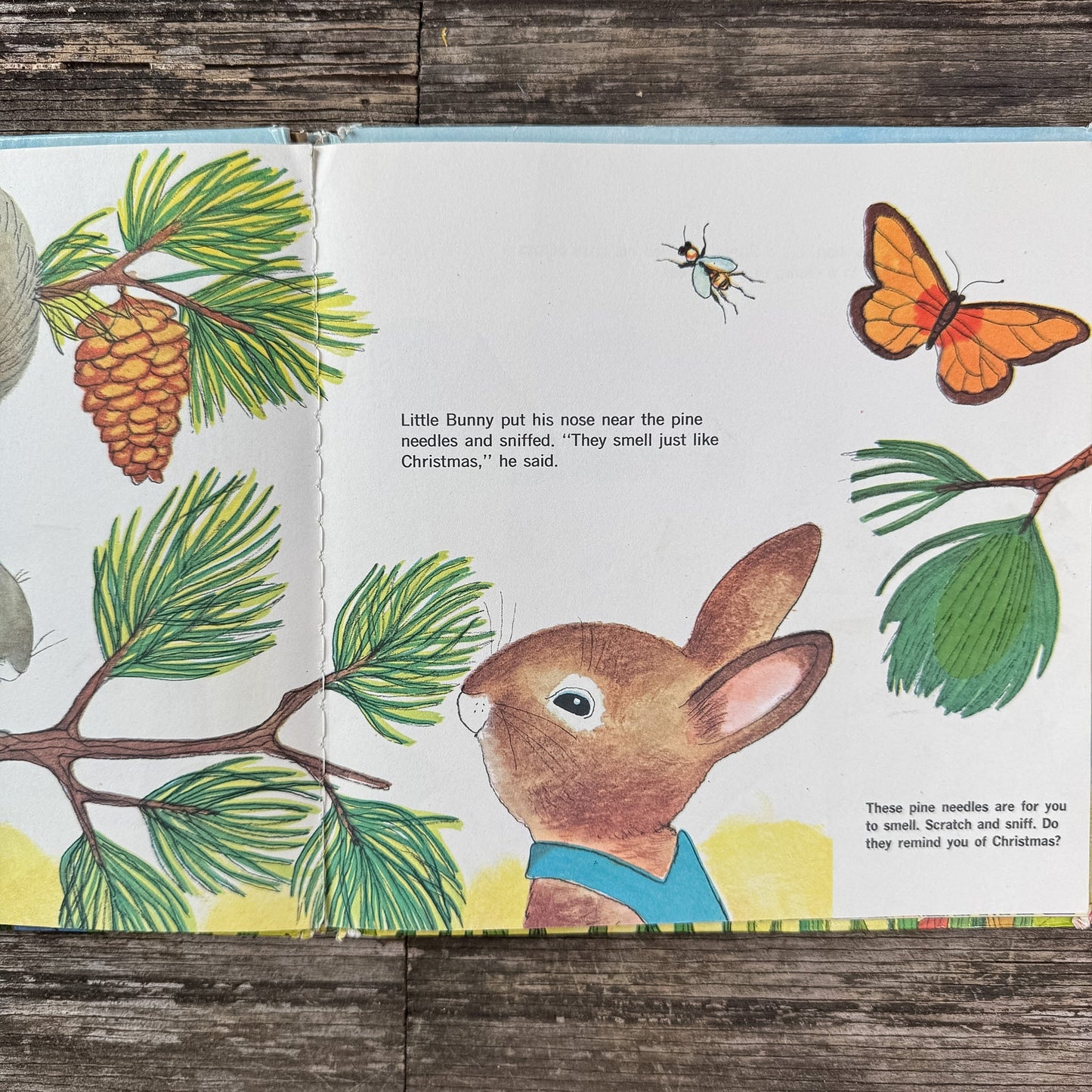 Little Bunny Follows His Nose, Katherine Howard, 1971 Scratch & Sniff - Pretty Old Books