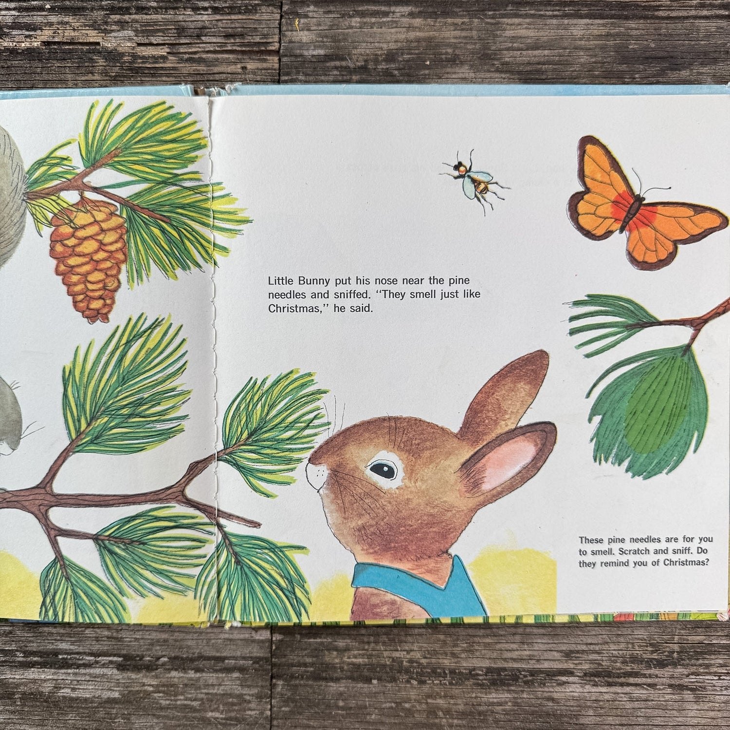 Little Bunny Follows His Nose, Katherine Howard, 1971 Scratch & Sniff - Pretty Old Books