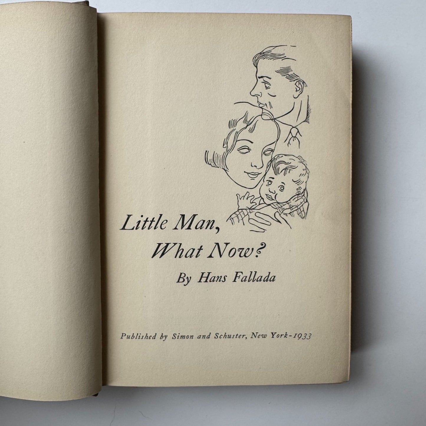 Little Man What Now? Hans Fallada, 1933 First US Edition, Hardcover with DJ - Pretty Old Books