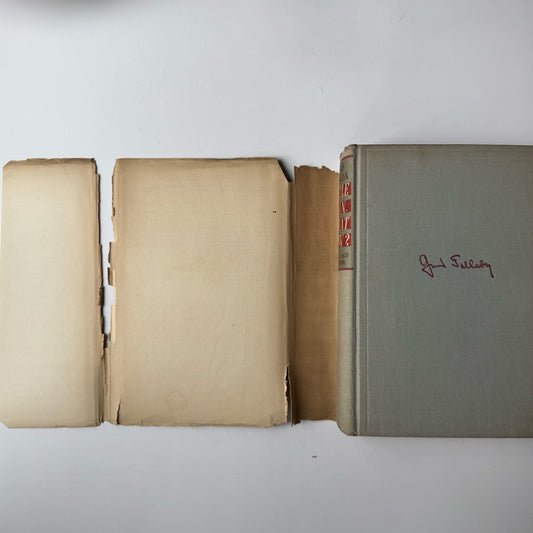 Little Man What Now? Hans Fallada, 1933 First US Edition, Hardcover with DJ - Pretty Old Books