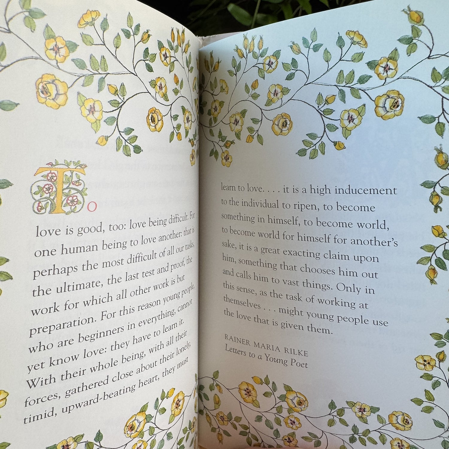Love and Joy, Judy Pelikan, 1994, Set of Two Illustrated Quotation Books - Pretty Old Books