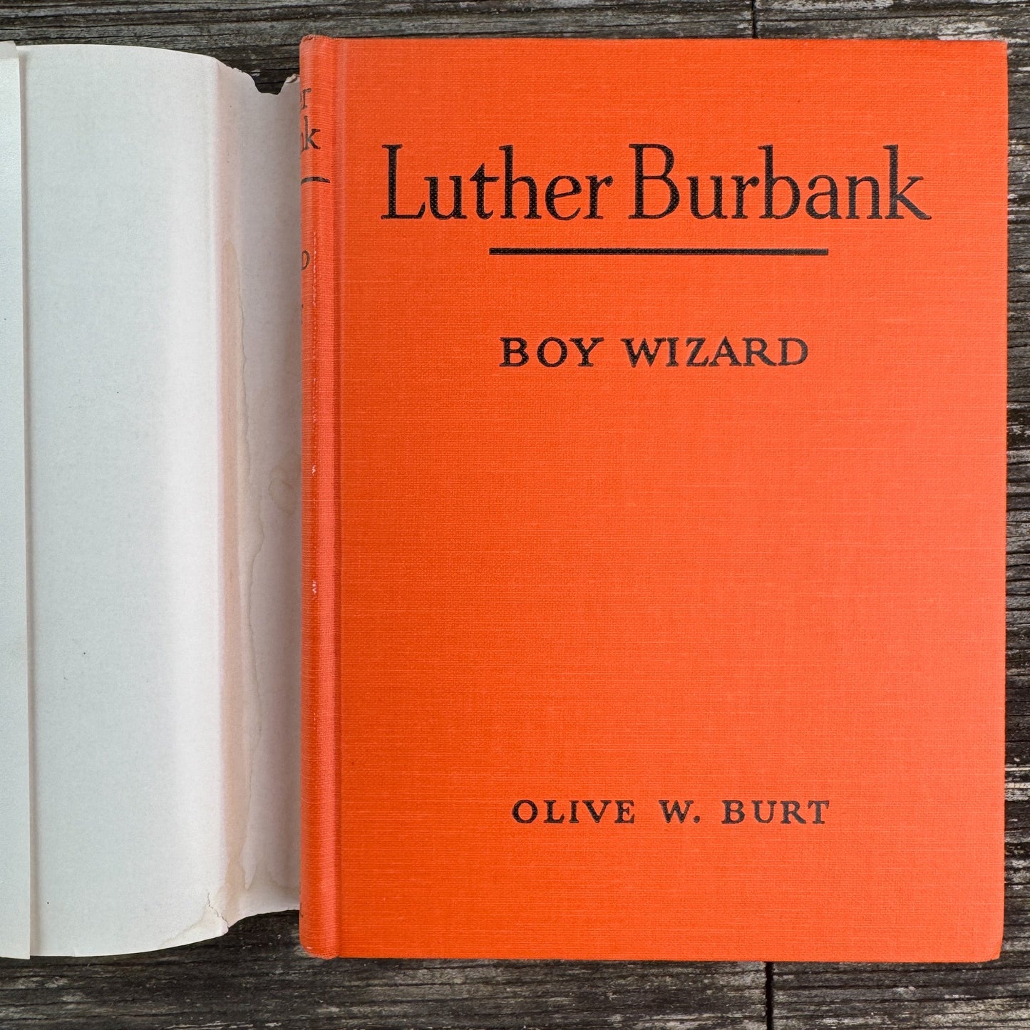 Luther Burbank: Boy Wizard, Childhood of Famous Americans, 1948, Hardcover - Pretty Old Books