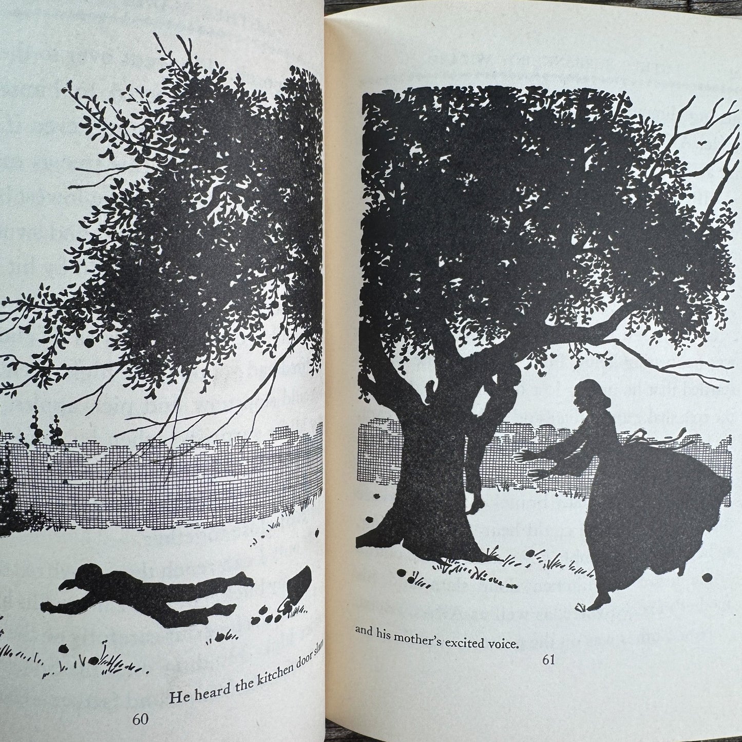Luther Burbank: Boy Wizard, Childhood of Famous Americans, 1948, Hardcover - Pretty Old Books