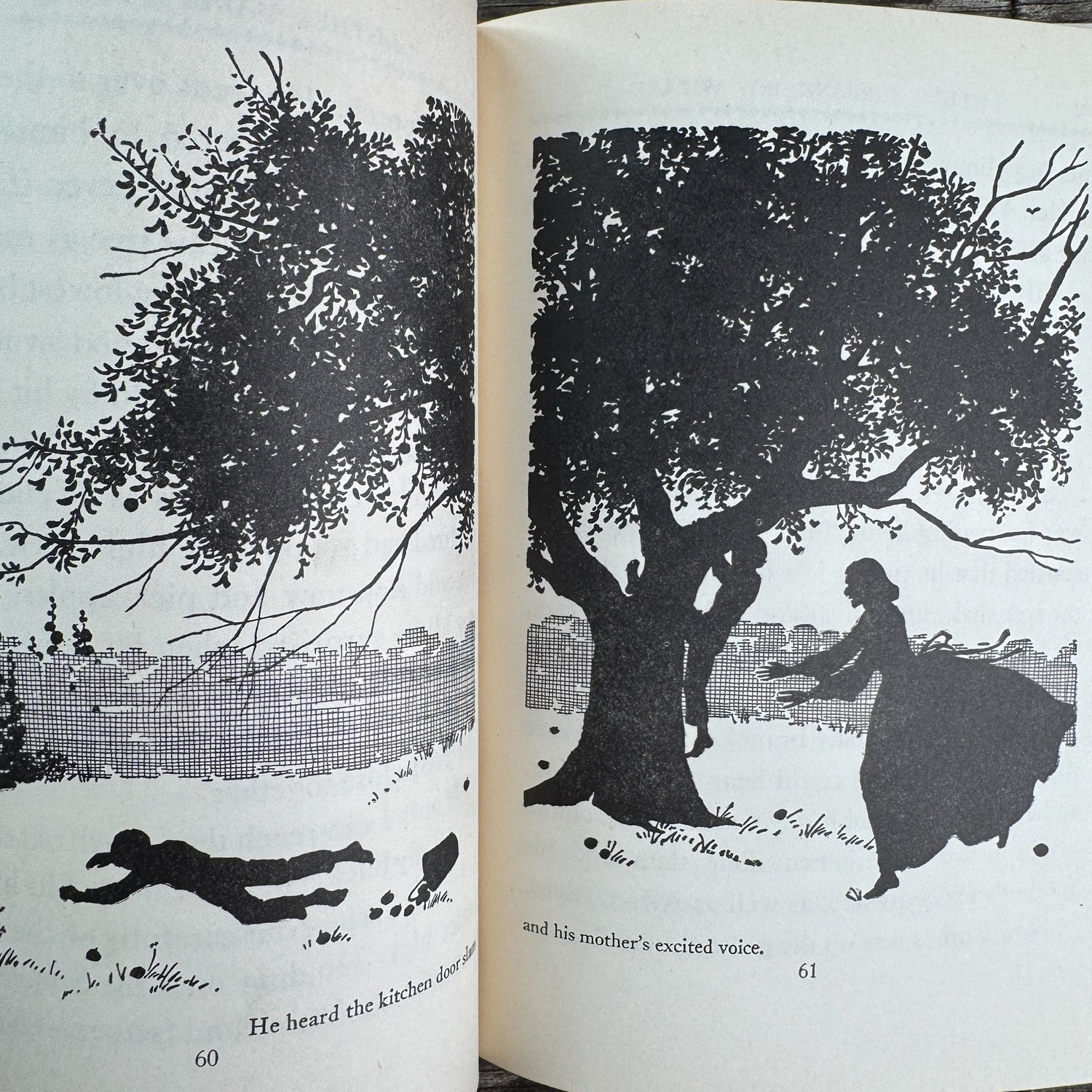 Luther Burbank: Boy Wizard, Childhood of Famous Americans, 1948, Hardcover - Pretty Old Books