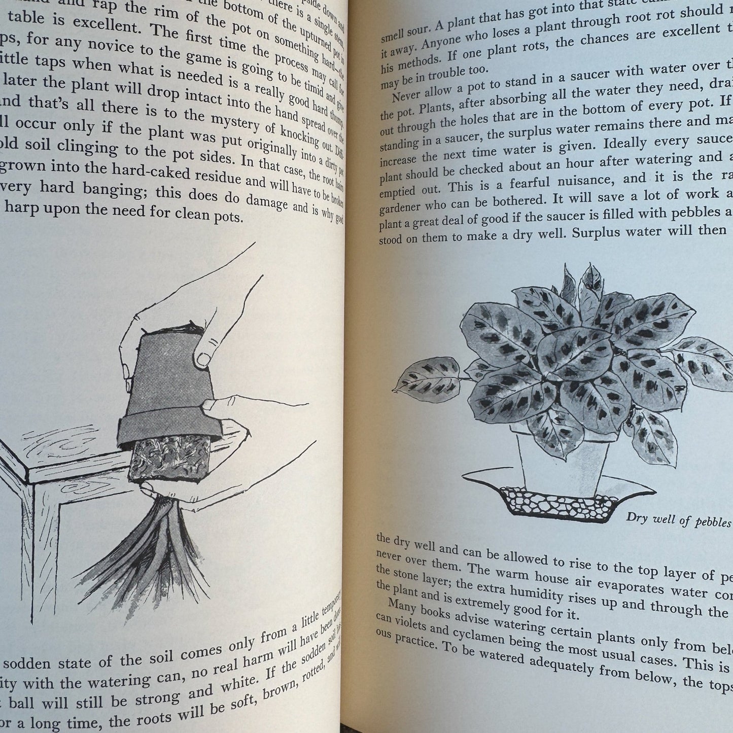 Making Things Grow, 1969 Illustrated Indoor Gardening Guide - Pretty Old Books