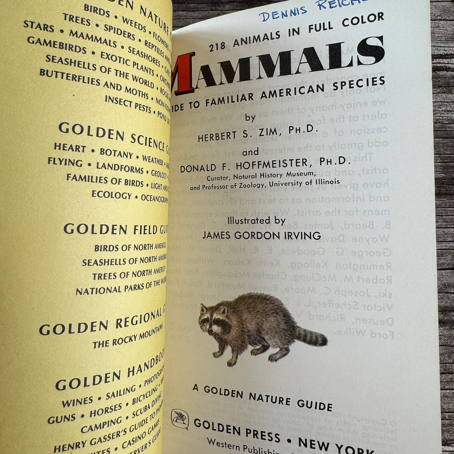 Mammals, Golden Guide, 1955 - Pretty Old Books