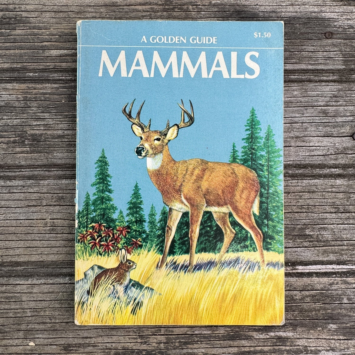 Mammals, Golden Guide, 1955 - Pretty Old Books