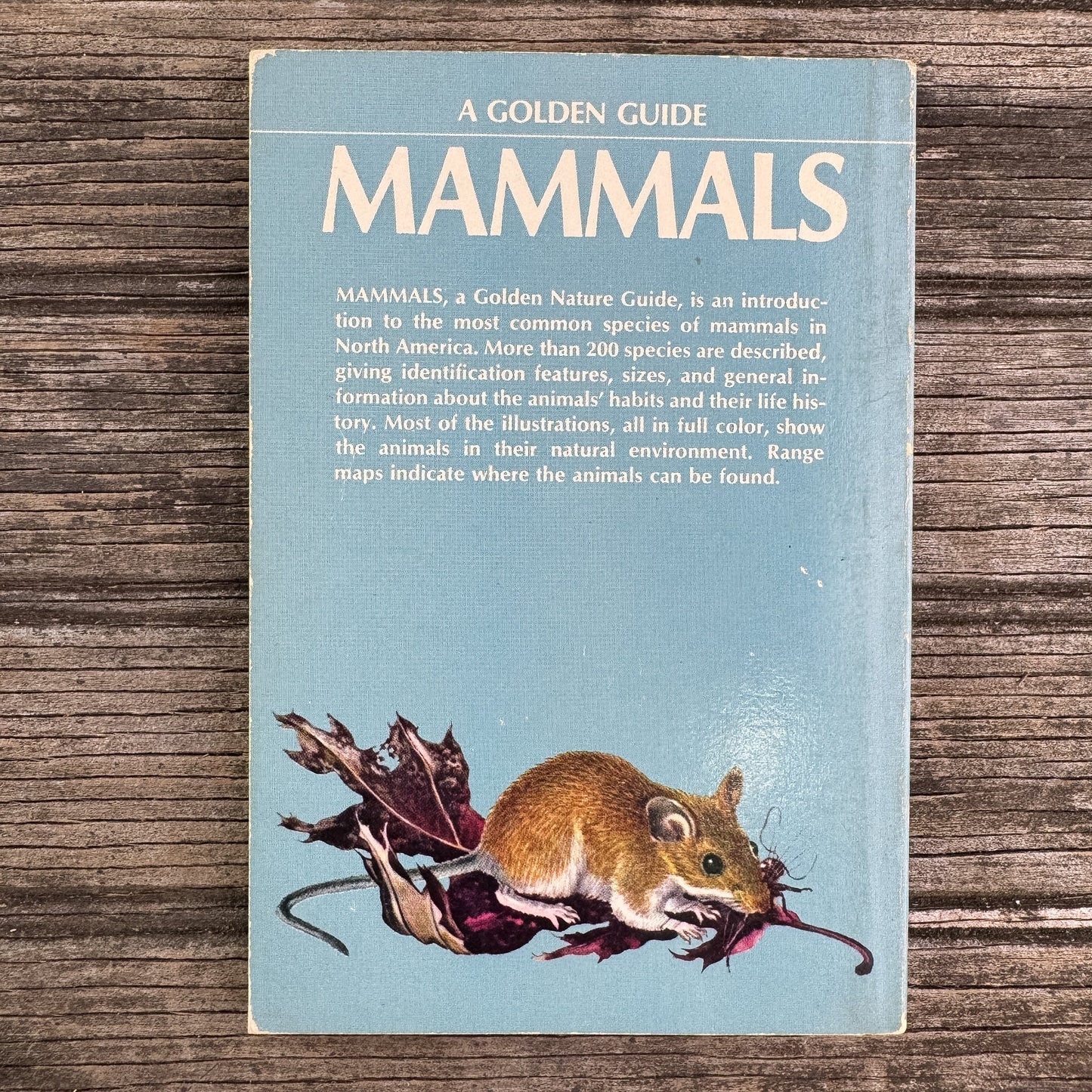 Mammals, Golden Guide, 1955 - Pretty Old Books