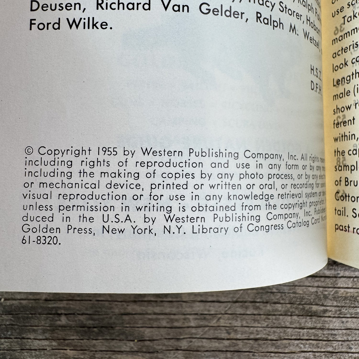 Mammals, Golden Guide, 1955 - Pretty Old Books