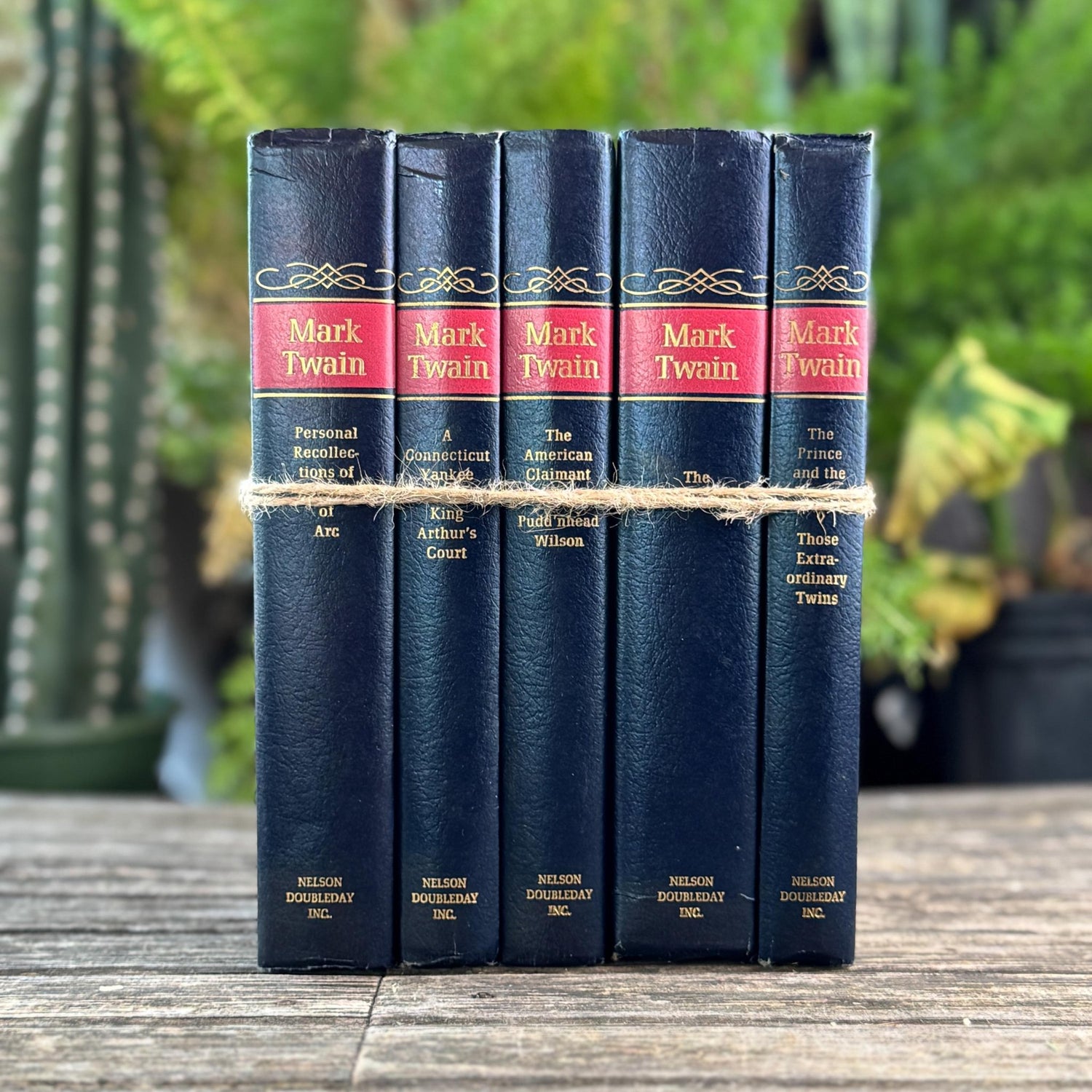 Mark Twain Set of Blue and Red Mid Century Nelson Doubleday Set - Pretty Old Books