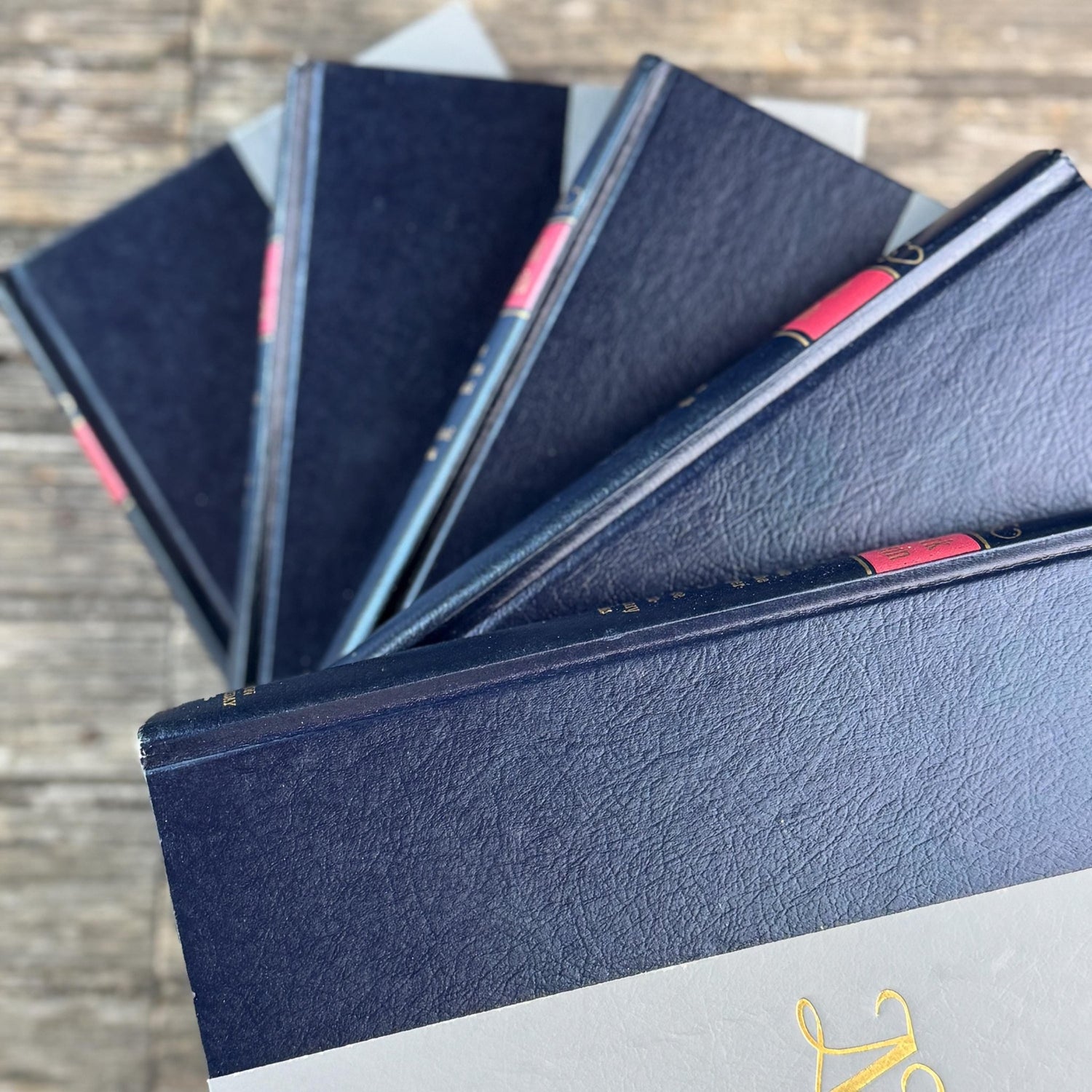 Mark Twain Set of Blue and Red Mid Century Nelson Doubleday Set - Pretty Old Books