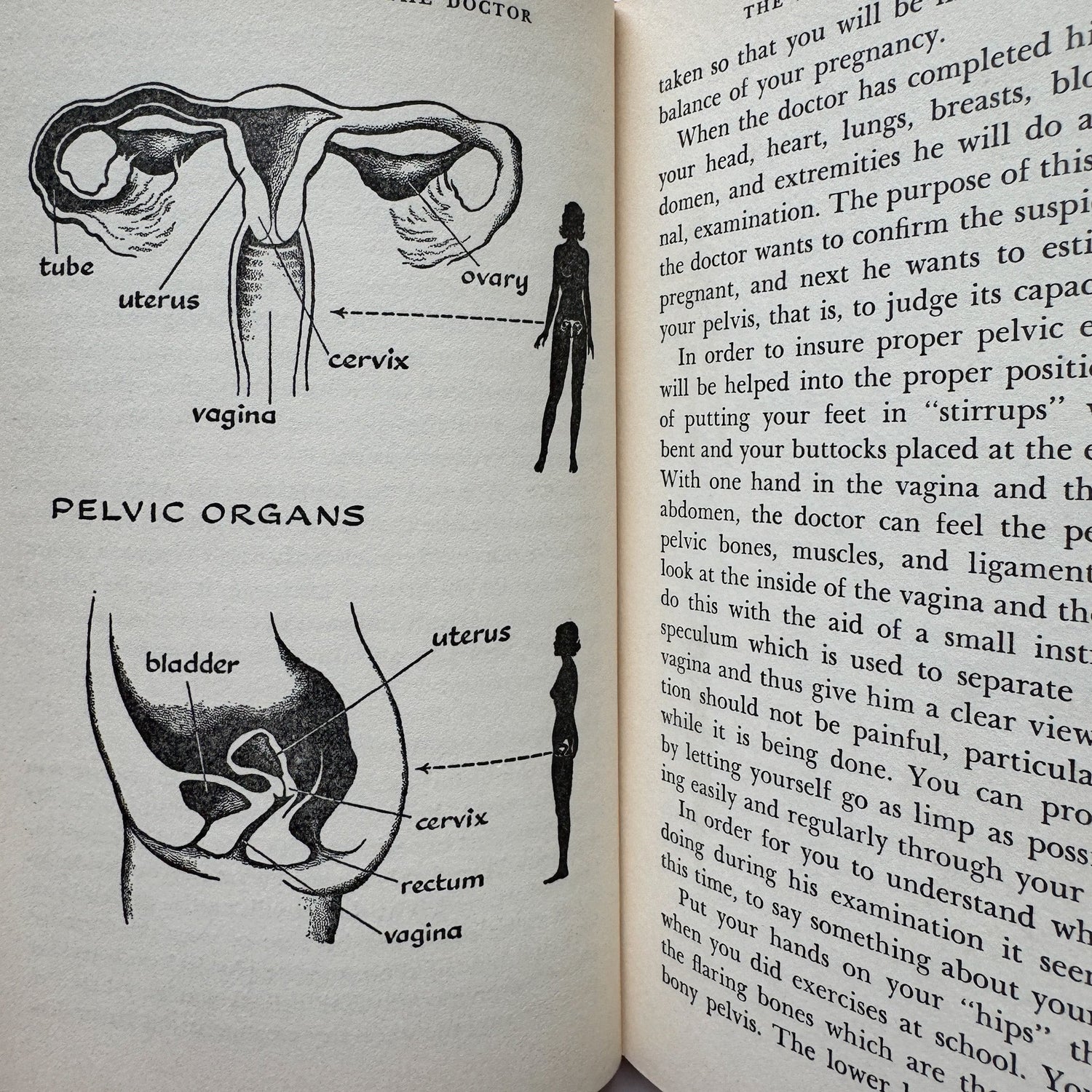 Maternity: A Guide to Prospective Mothers, 1959 Illustrated Pregnancy Book - Pretty Old Books