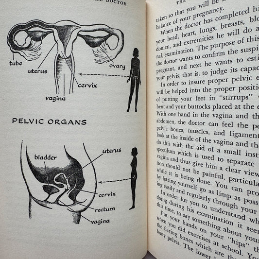 Maternity: A Guide to Prospective Mothers, 1959 Illustrated Pregnancy Book - Pretty Old Books