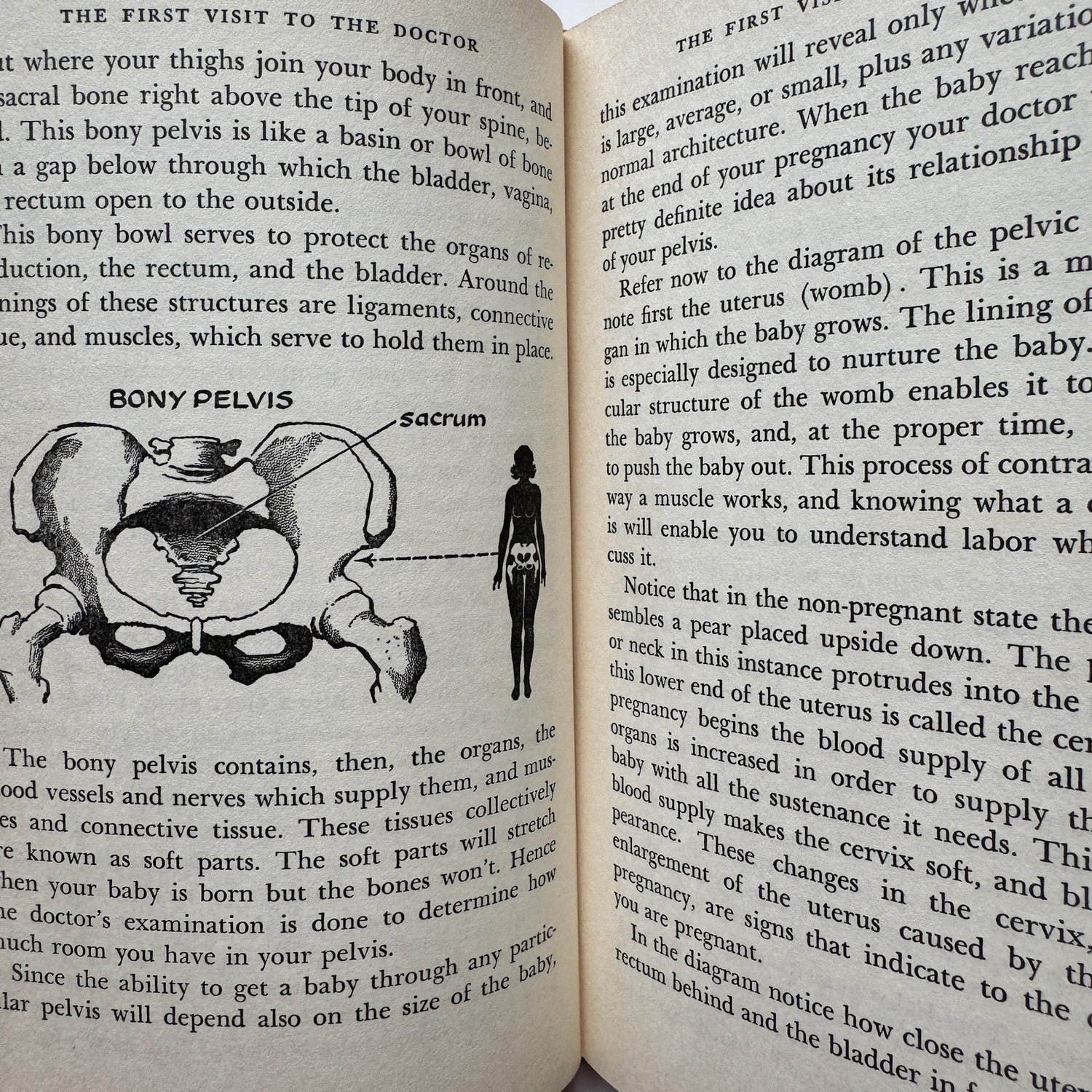 Maternity: A Guide to Prospective Mothers, 1959 Illustrated Pregnancy Book - Pretty Old Books