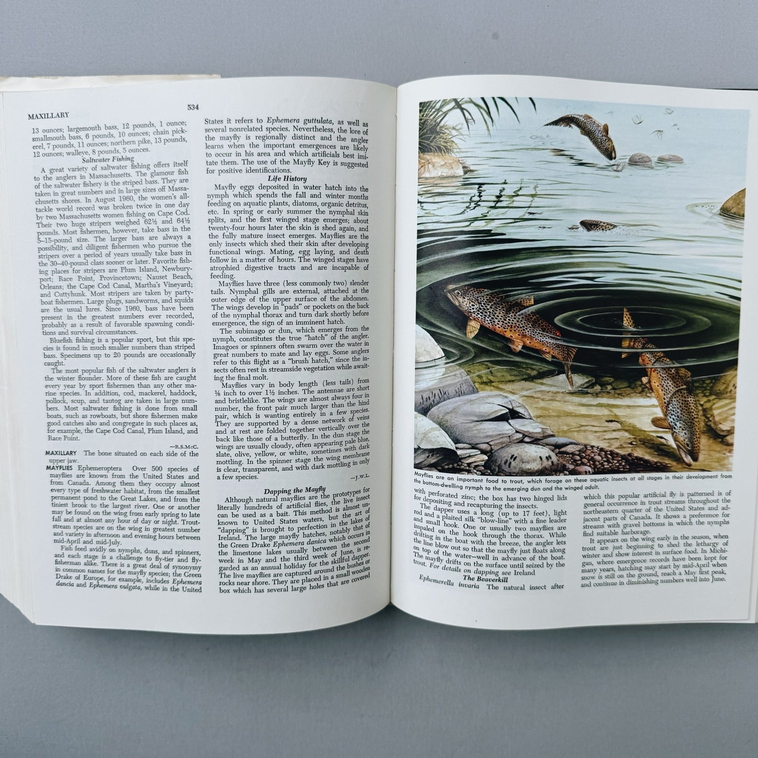 McClane's Standard Fishing Encyclopedia, 5th Printing, 1965 - Pretty Old Books
