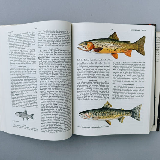 McClane's Standard Fishing Encyclopedia, 5th Printing, 1965 - Pretty Old Books
