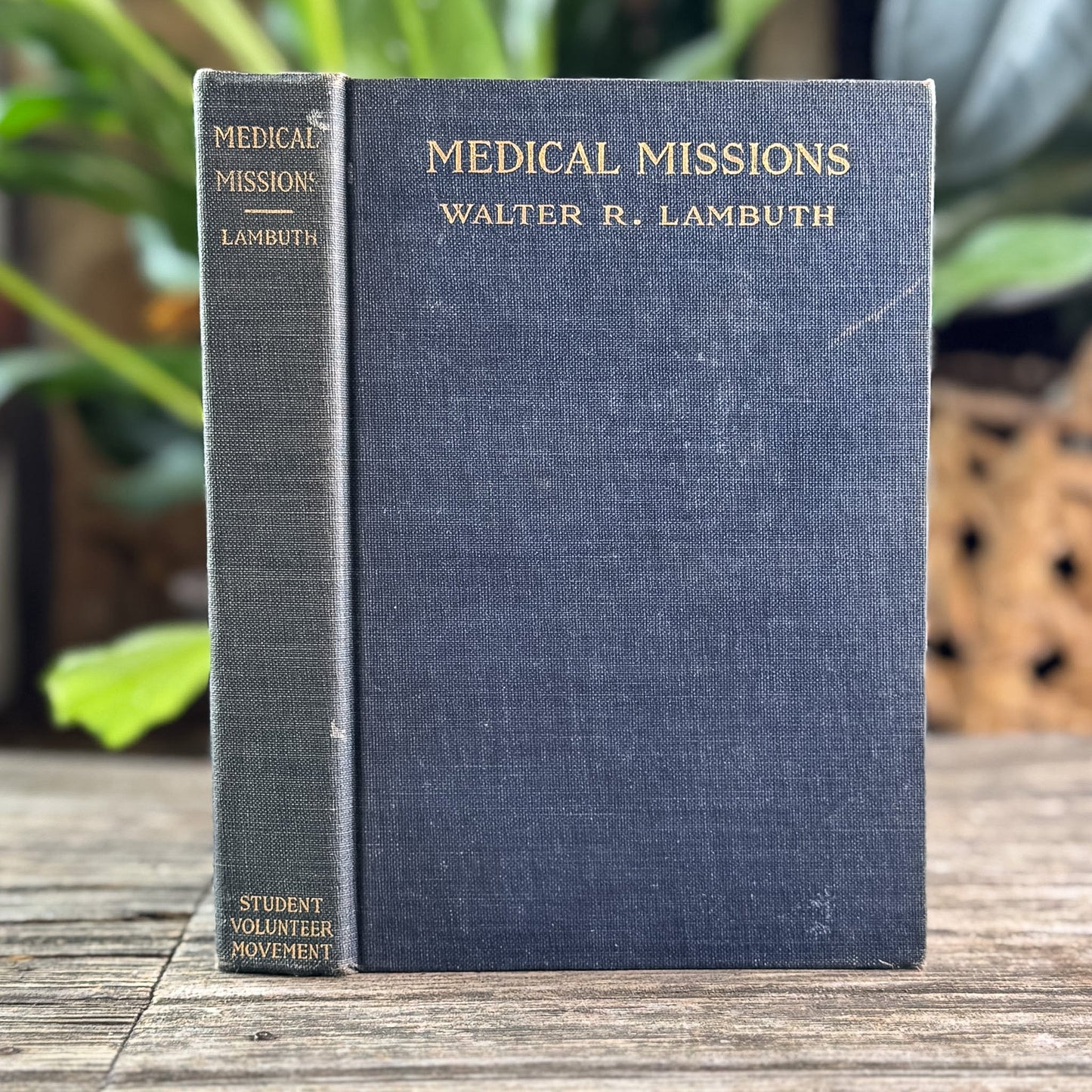 Medical Missions: The Two-Fold Task, Walter R. Lambuth, 1920 - Pretty Old Books