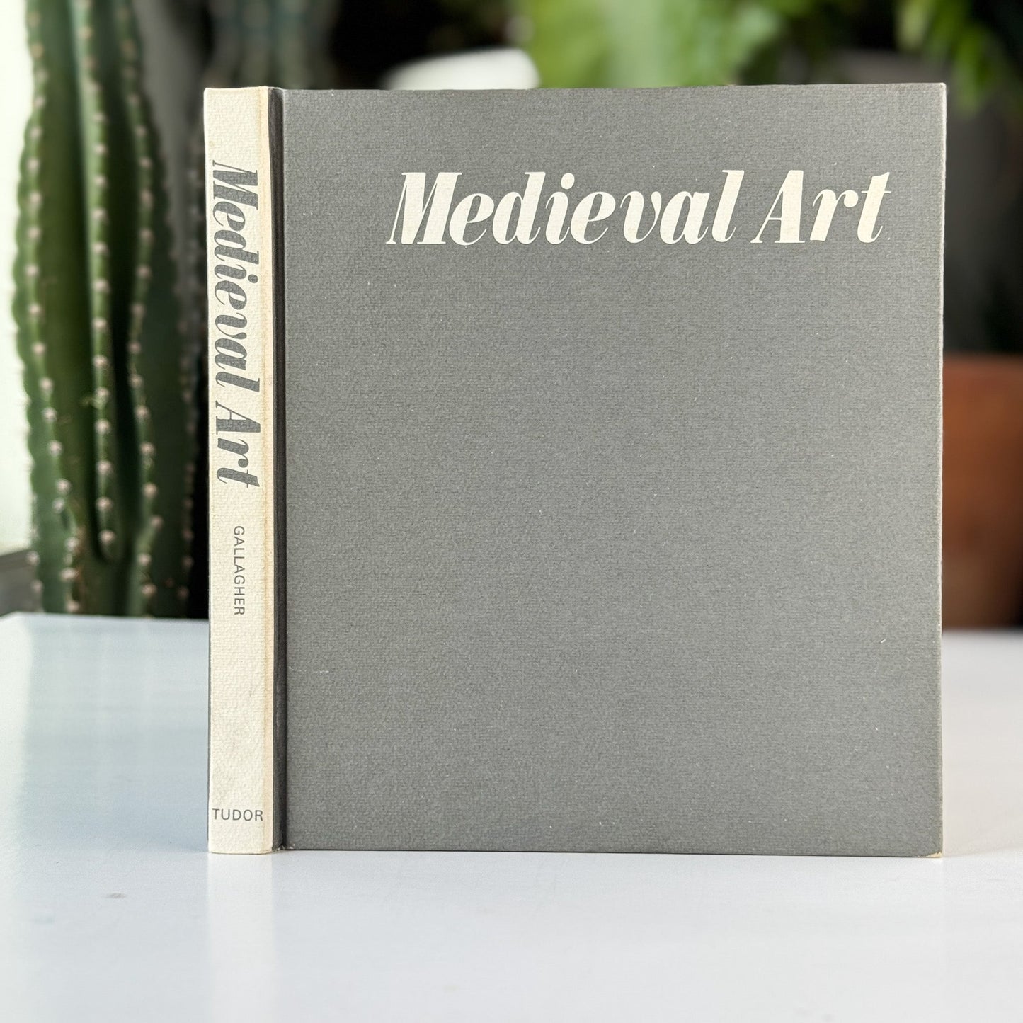 Medieval Art, Sharon Gallagher, Tudor Publishing, 1969 Art Book - Pretty Old Books