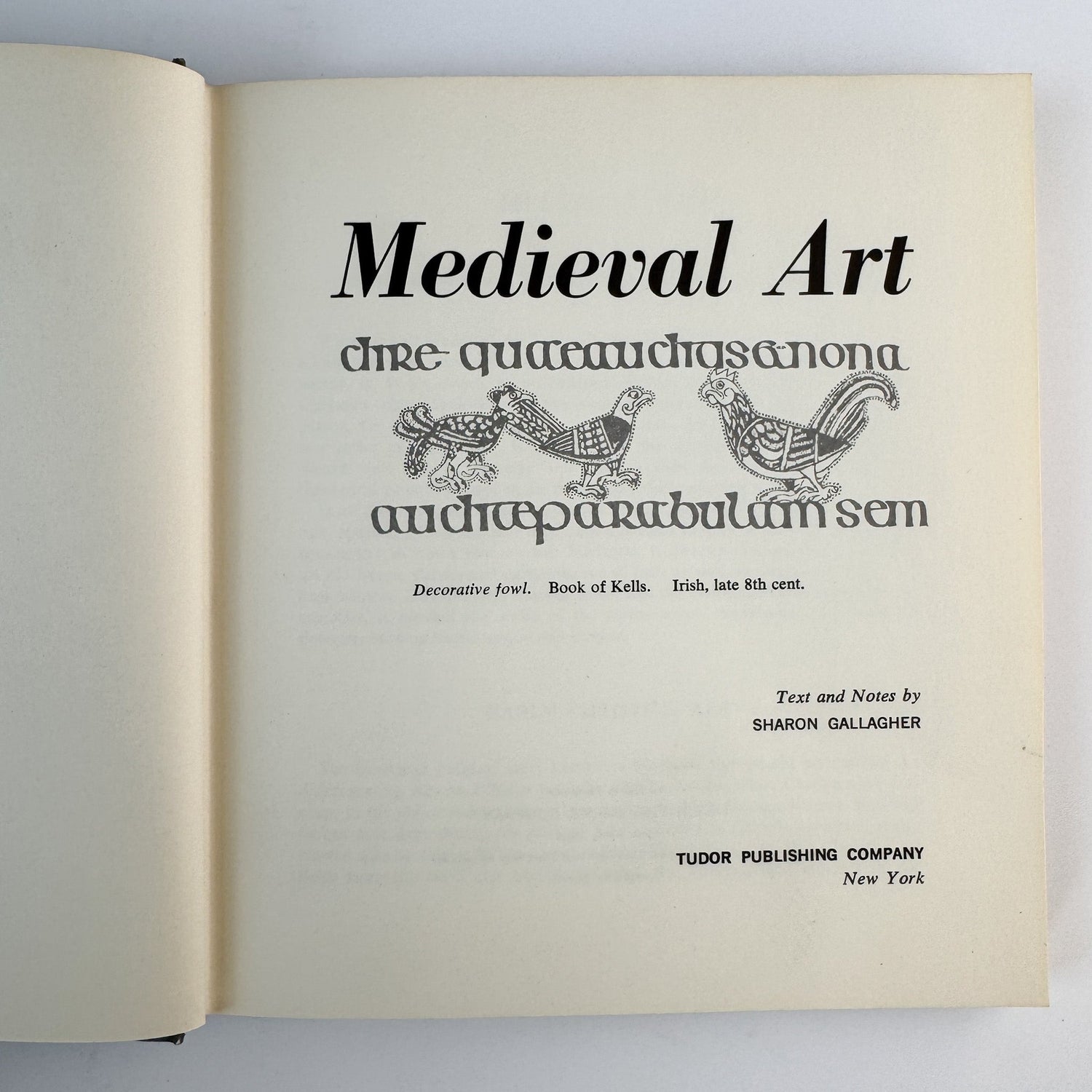 Medieval Art, Sharon Gallagher, Tudor Publishing, 1969 Art Book - Pretty Old Books