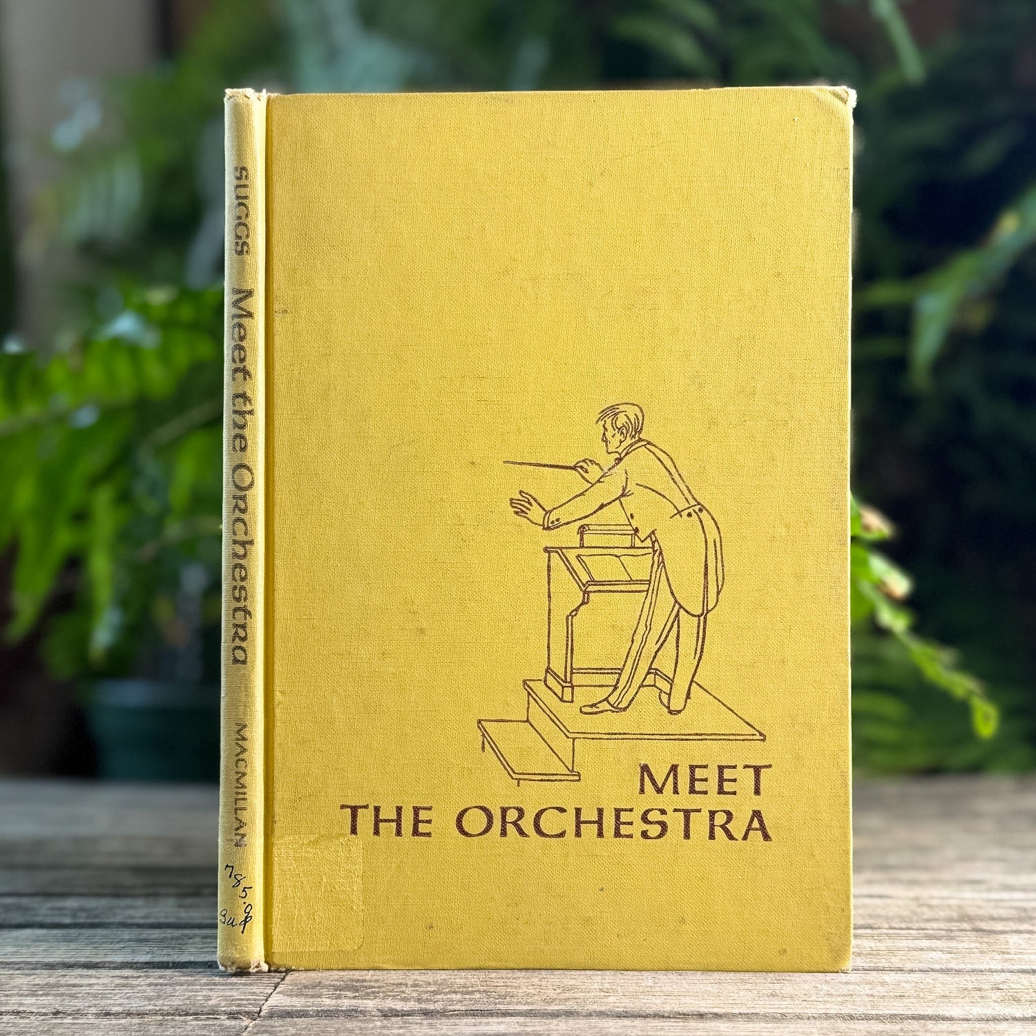 Meet the Orchestra, William W. Suggs, 1966 - Pretty Old Books