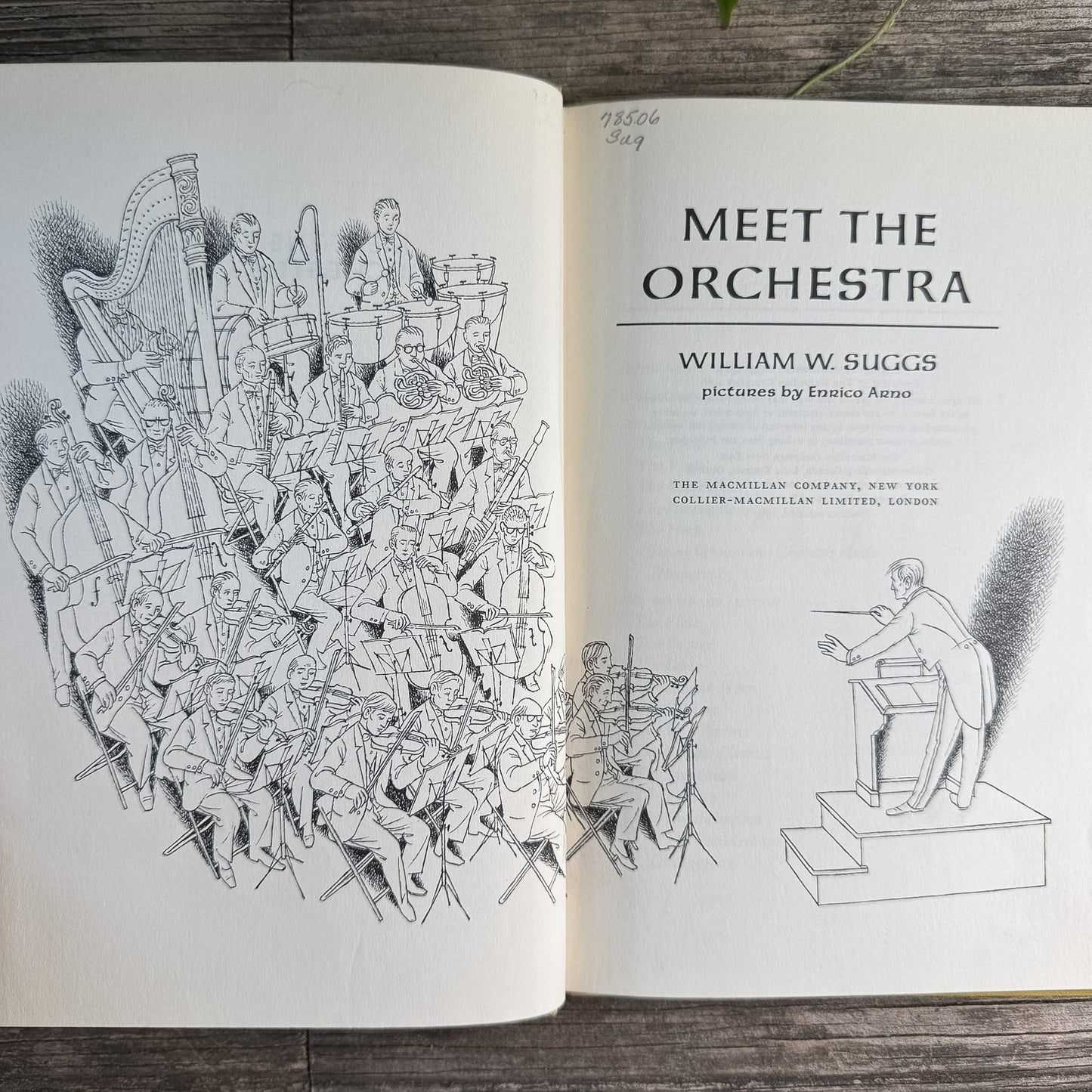 Meet the Orchestra, William W. Suggs, 1966 - Pretty Old Books