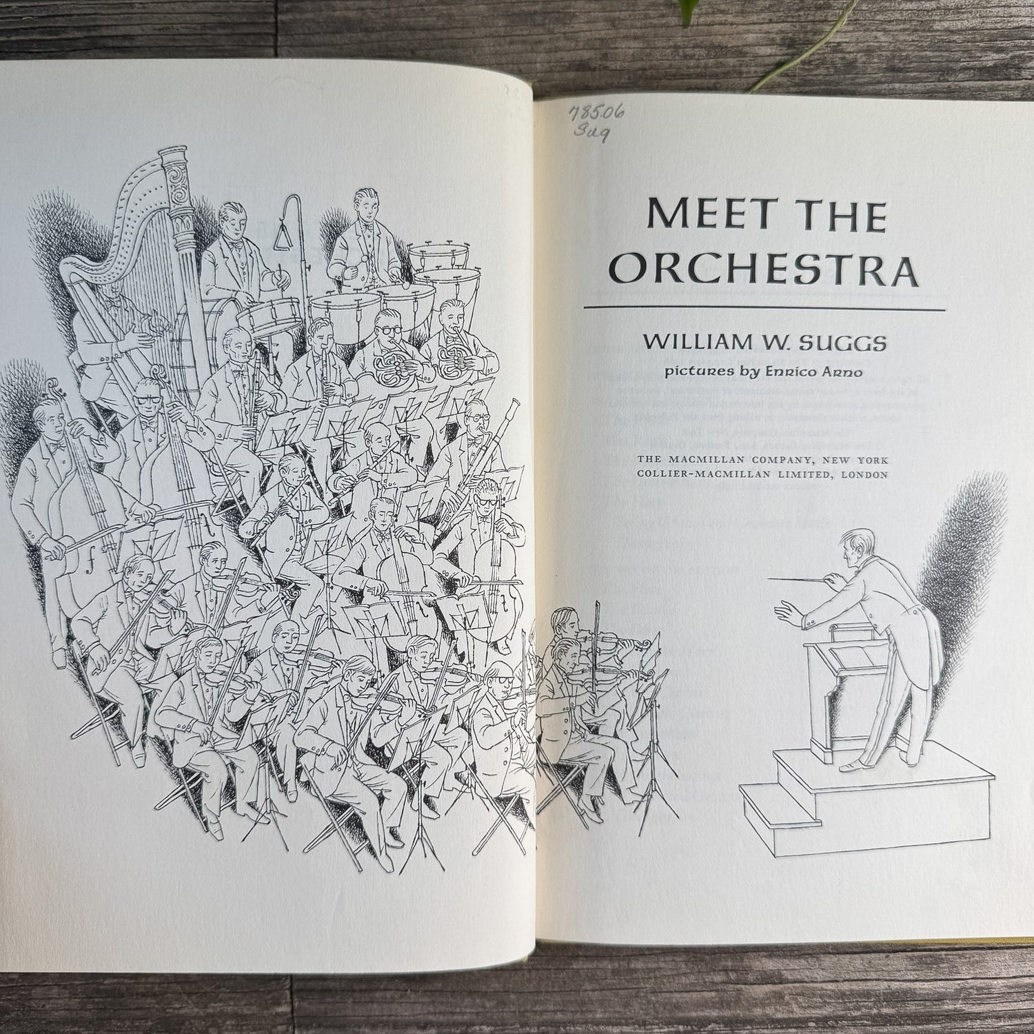 Meet the Orchestra, William W. Suggs, 1966 - Pretty Old Books