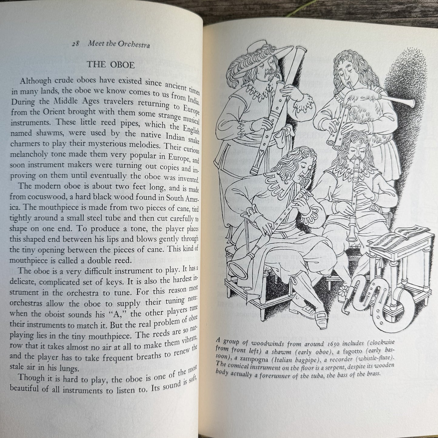 Meet the Orchestra, William W. Suggs, 1966 - Pretty Old Books
