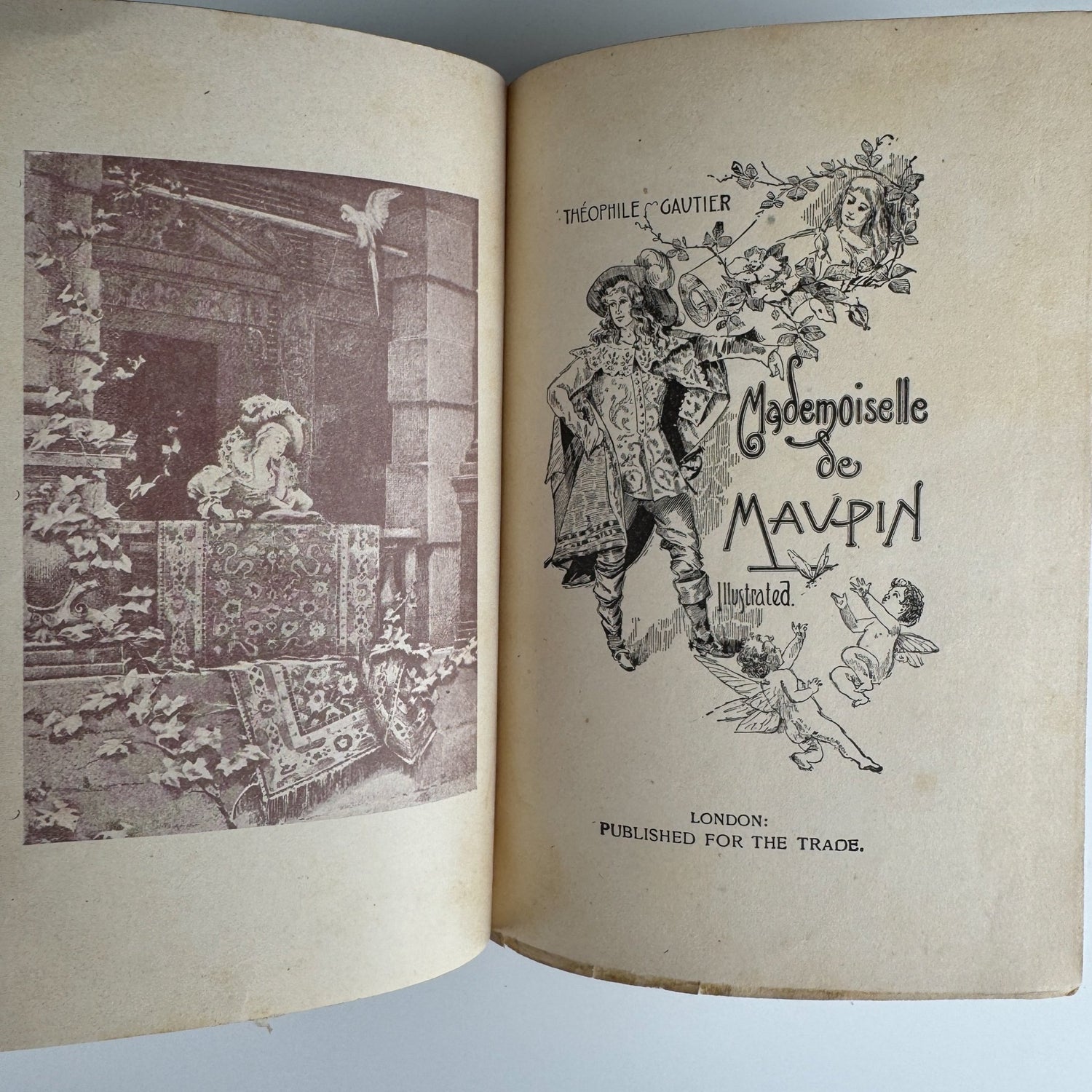 Memoir of Mademoiselle de Maupin, Theophile Gautier Edition, Rare Late 1800s Edition - Pretty Old Books