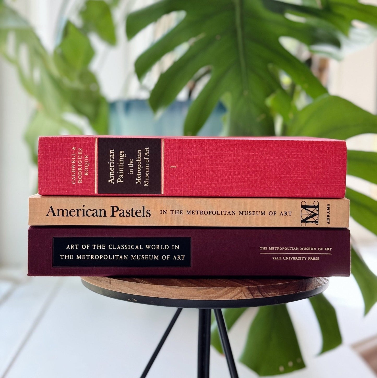 Metropolitan Museum of Art Book Bundle for Coffee Table or Shelf Styling, Oversized Books, Fine Arts - Pretty Old Books