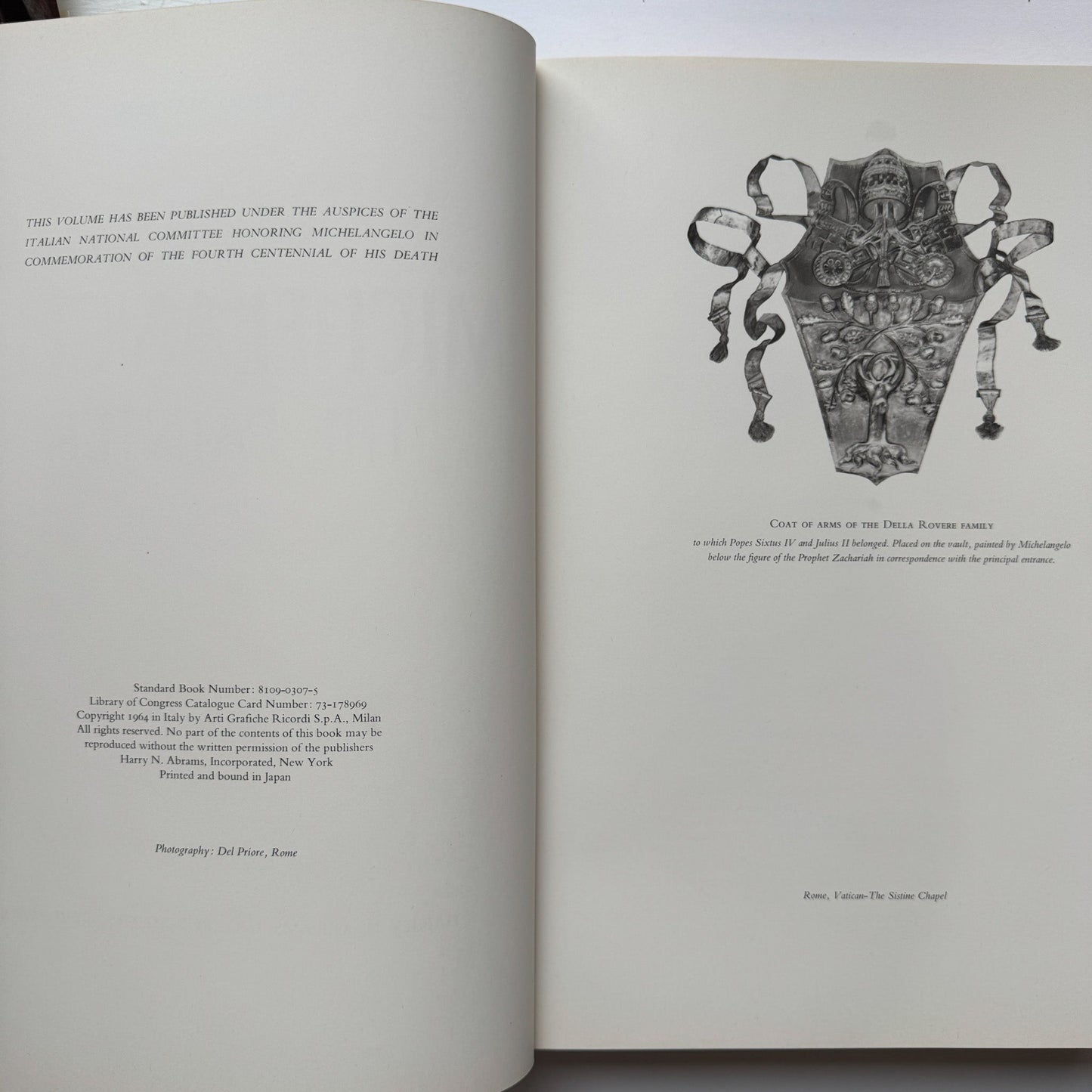 Michelangelo: The Painter by Valerio Mariani, 1964 Coffee Table Book - Pretty Old Books