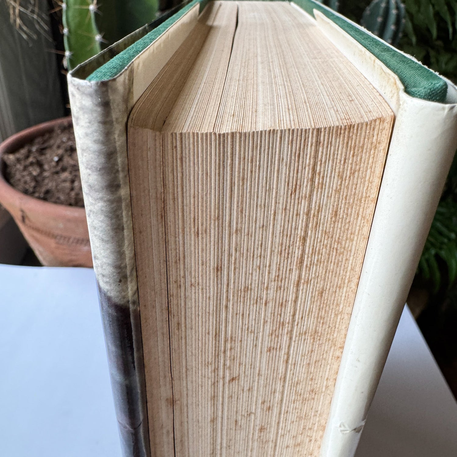 Michelangelo: The Painter by Valerio Mariani, 1964 Coffee Table Book - Pretty Old Books