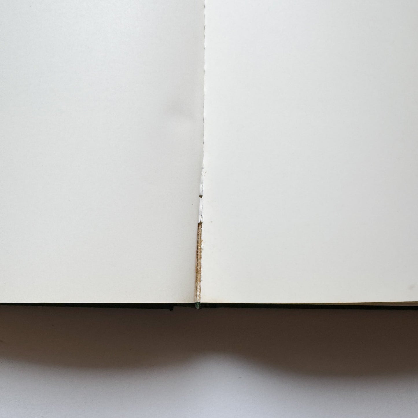 Michelangelo: The Painter by Valerio Mariani, 1964 Coffee Table Book - Pretty Old Books