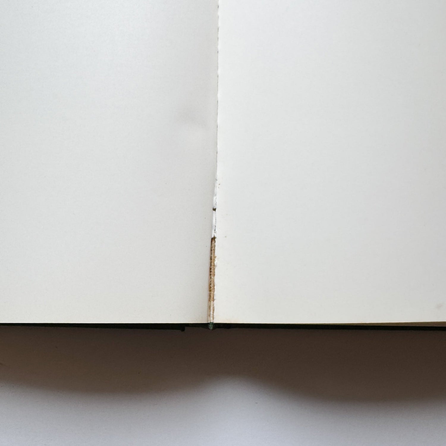 Michelangelo: The Painter by Valerio Mariani, 1964 Coffee Table Book - Pretty Old Books