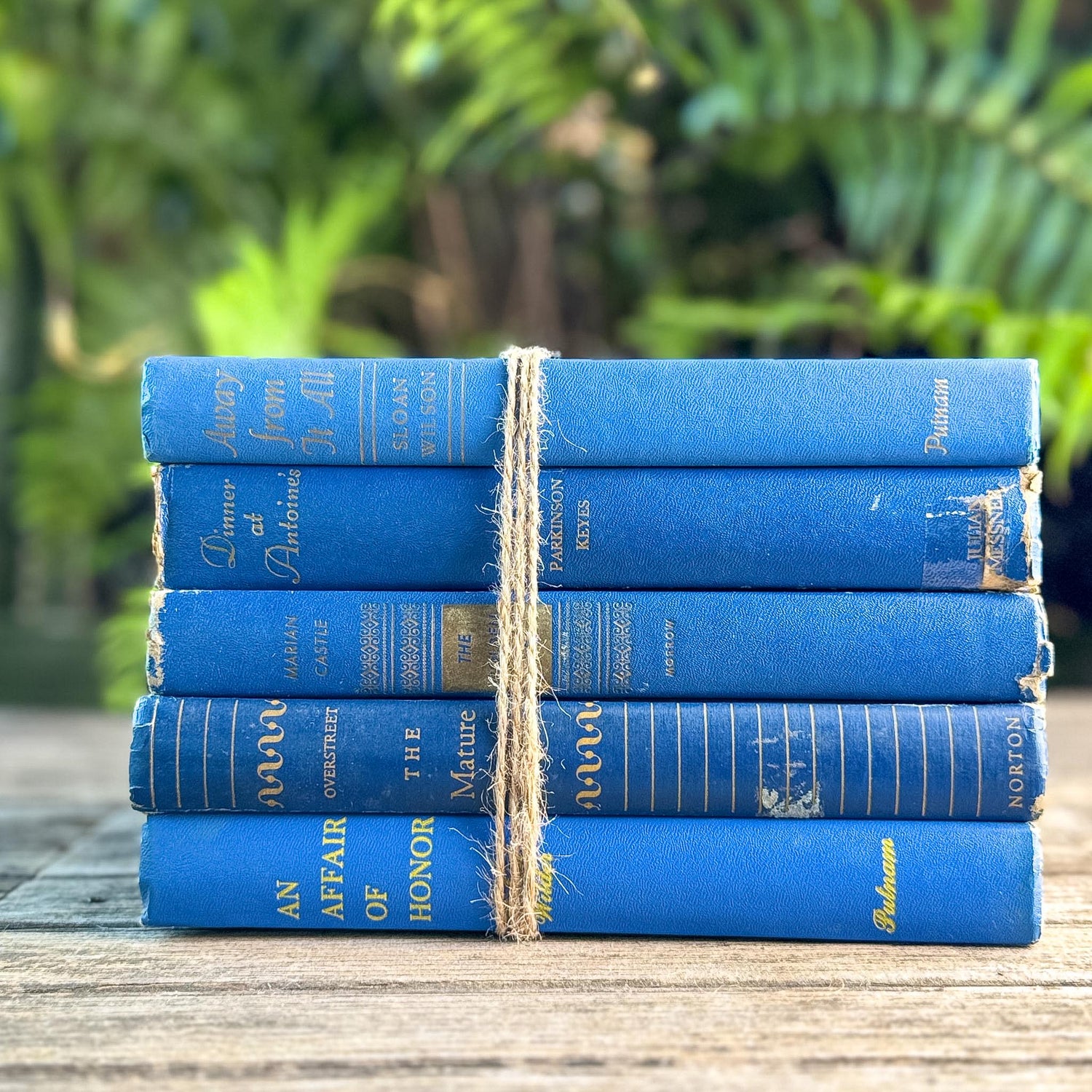 Mid-Century Modern Bright and Bold Blue Book Set - Pretty Old Books
