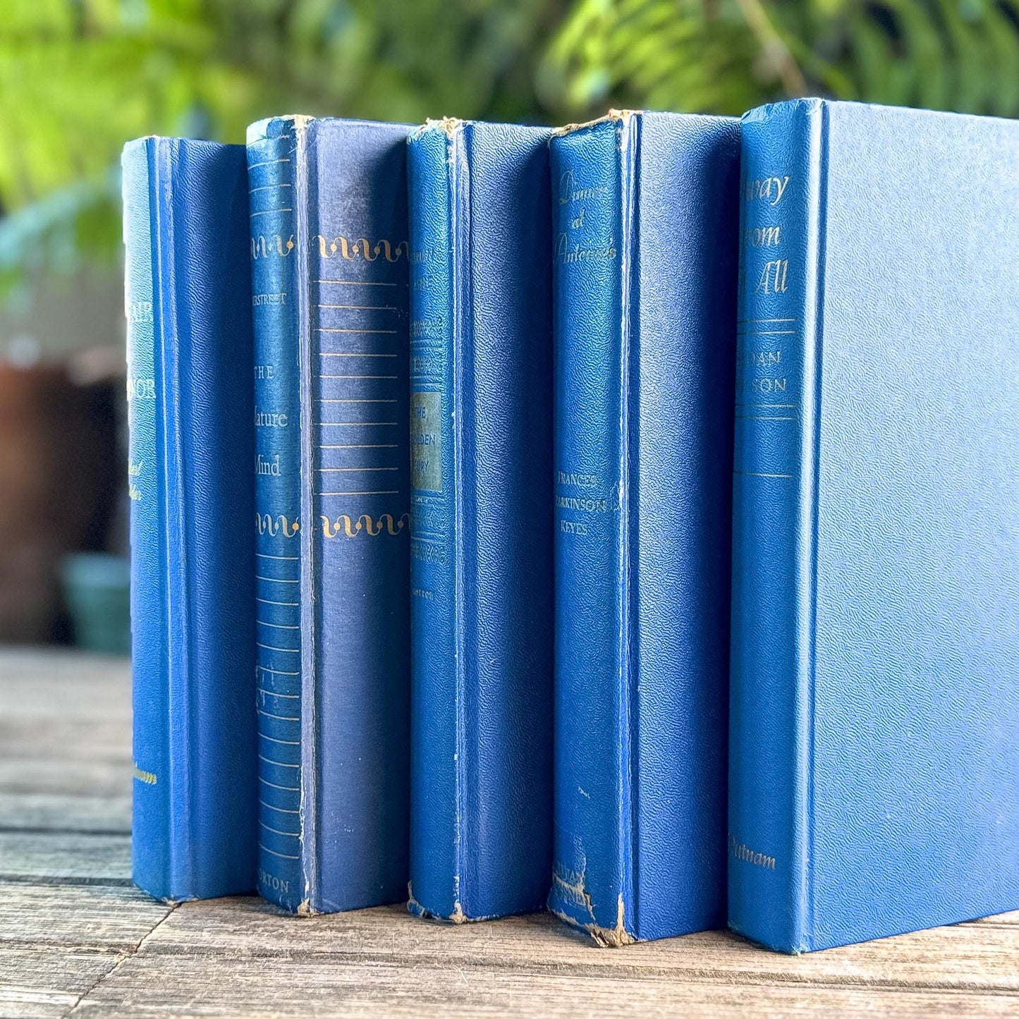 Mid-Century Modern Bright and Bold Blue Book Set - Pretty Old Books