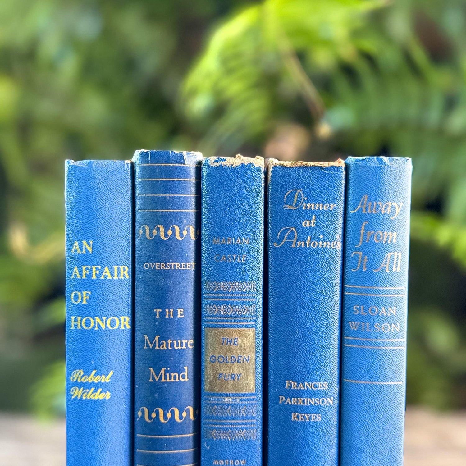 Mid-Century Modern Bright and Bold Blue Book Set - Pretty Old Books