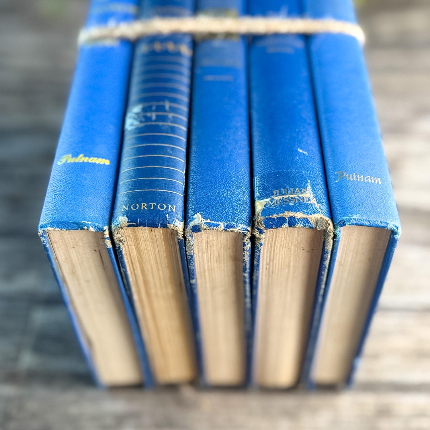 Mid-Century Modern Bright and Bold Blue Book Set - Pretty Old Books