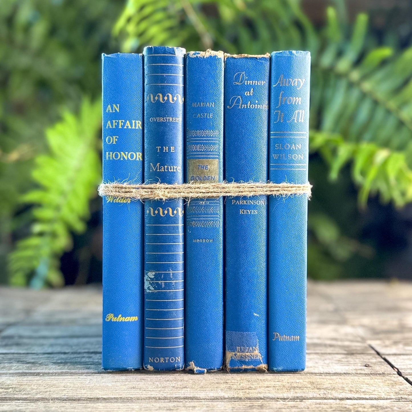 Mid-Century Modern Bright and Bold Blue Book Set - Pretty Old Books