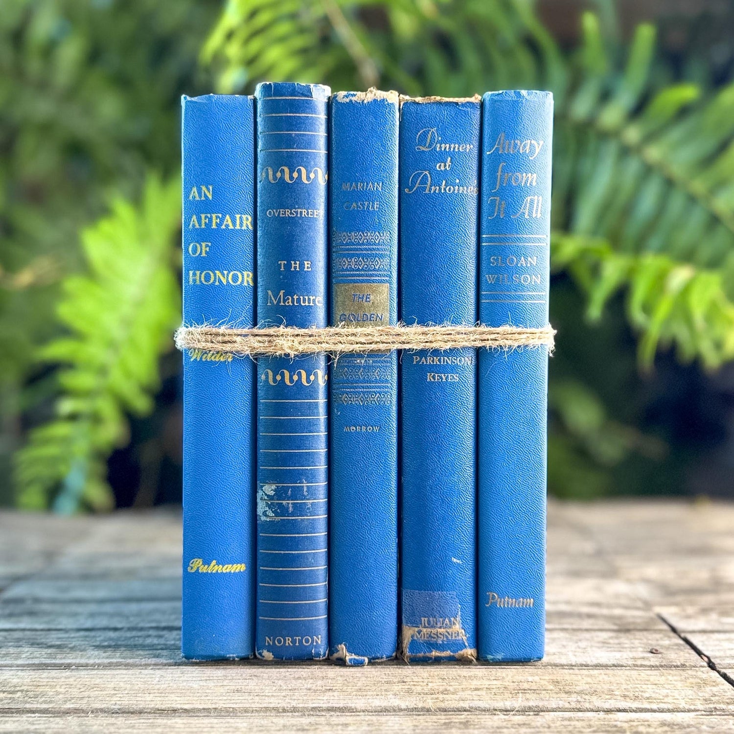 Mid-Century Modern Bright and Bold Blue Book Set - Pretty Old Books