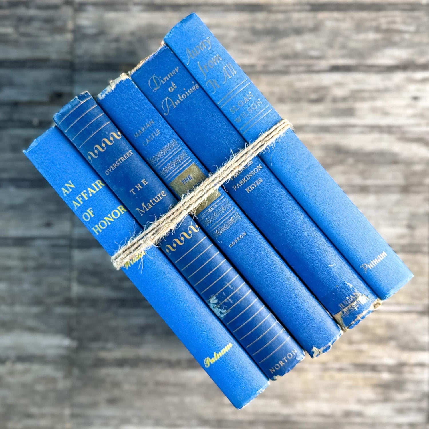 Mid-Century Modern Bright and Bold Blue Book Set - Pretty Old Books