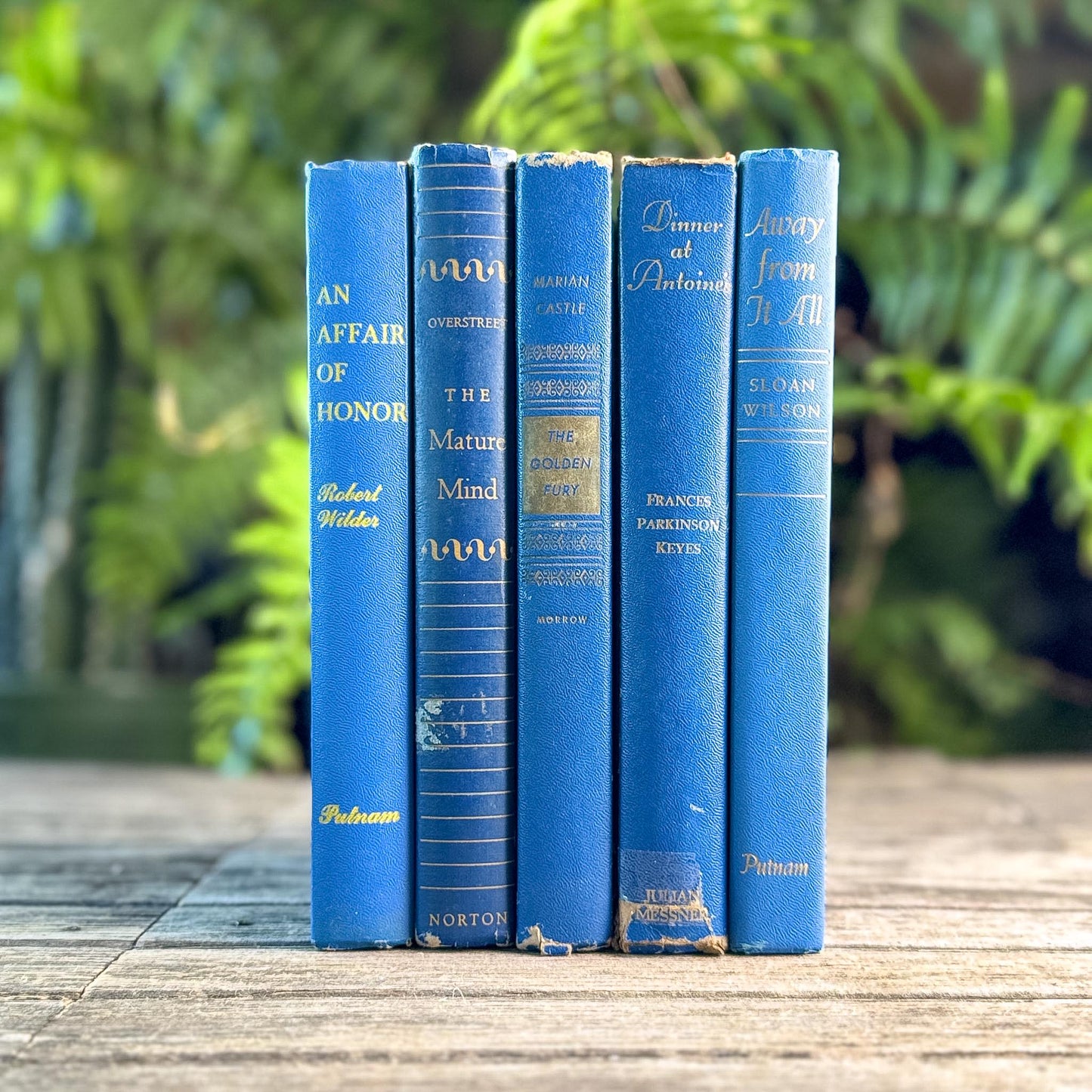 Mid-Century Modern Bright and Bold Blue Book Set - Pretty Old Books
