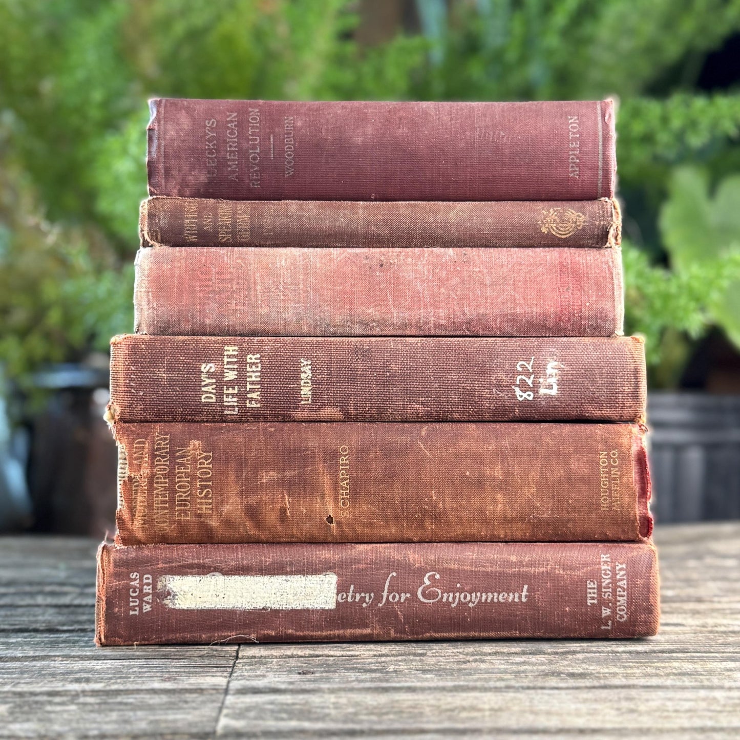 Mid Century Red and Terra Cotta School Book Bundle for Shelf Styling - Pretty Old Books