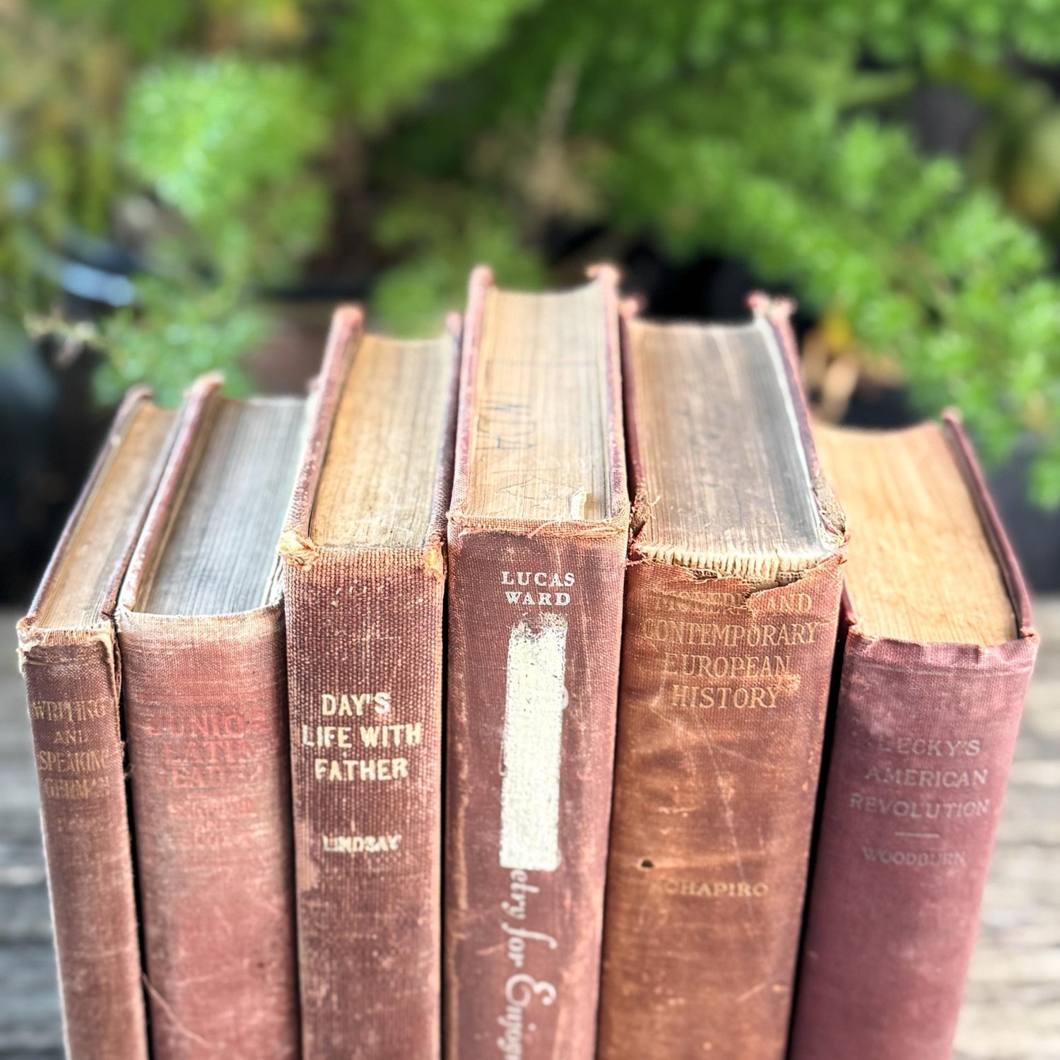 Mid Century Red and Terra Cotta School Book Bundle for Shelf Styling - Pretty Old Books