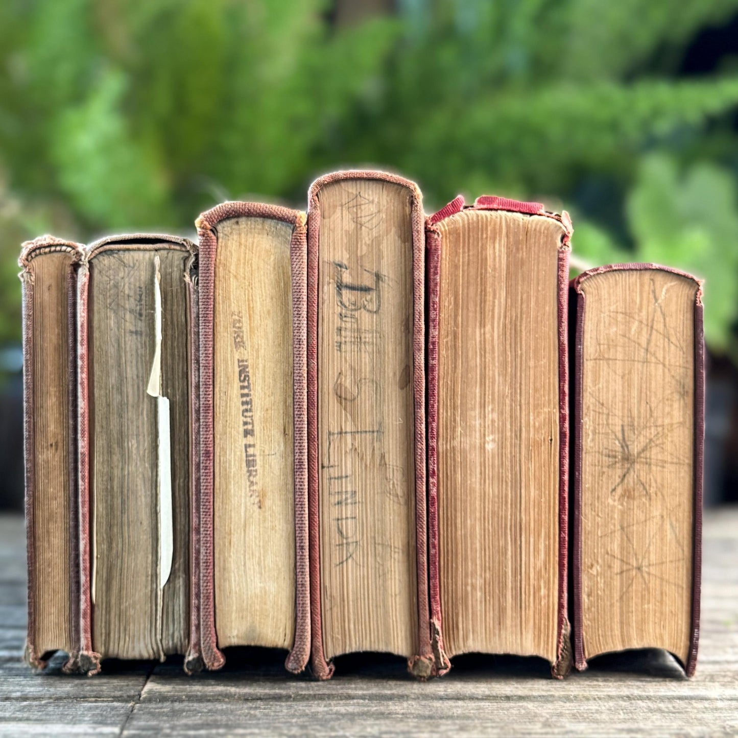 Mid Century Red and Terra Cotta School Book Bundle for Shelf Styling - Pretty Old Books