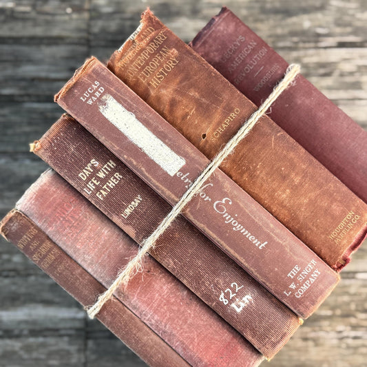 Mid Century Red and Terra Cotta School Book Bundle for Shelf Styling - Pretty Old Books