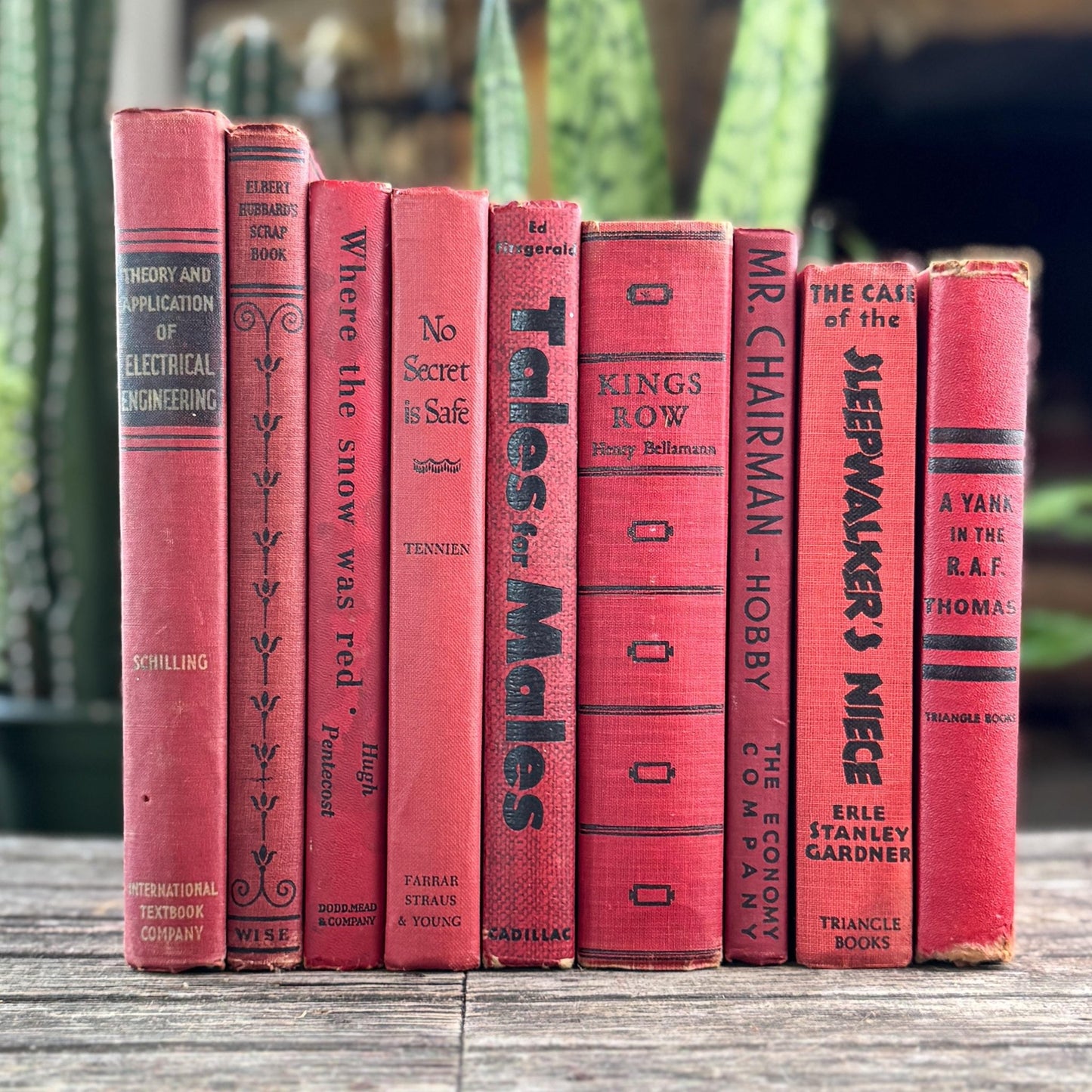 Mid-Century Red Black Book Collection for Shelf Styling - Pretty Old Books