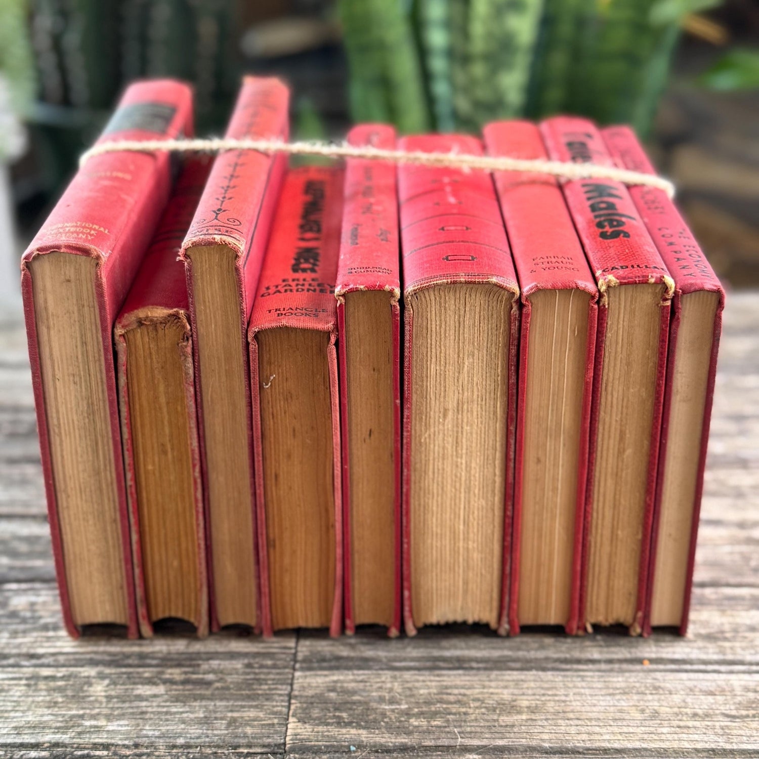 Mid-Century Red Black Book Collection for Shelf Styling - Pretty Old Books