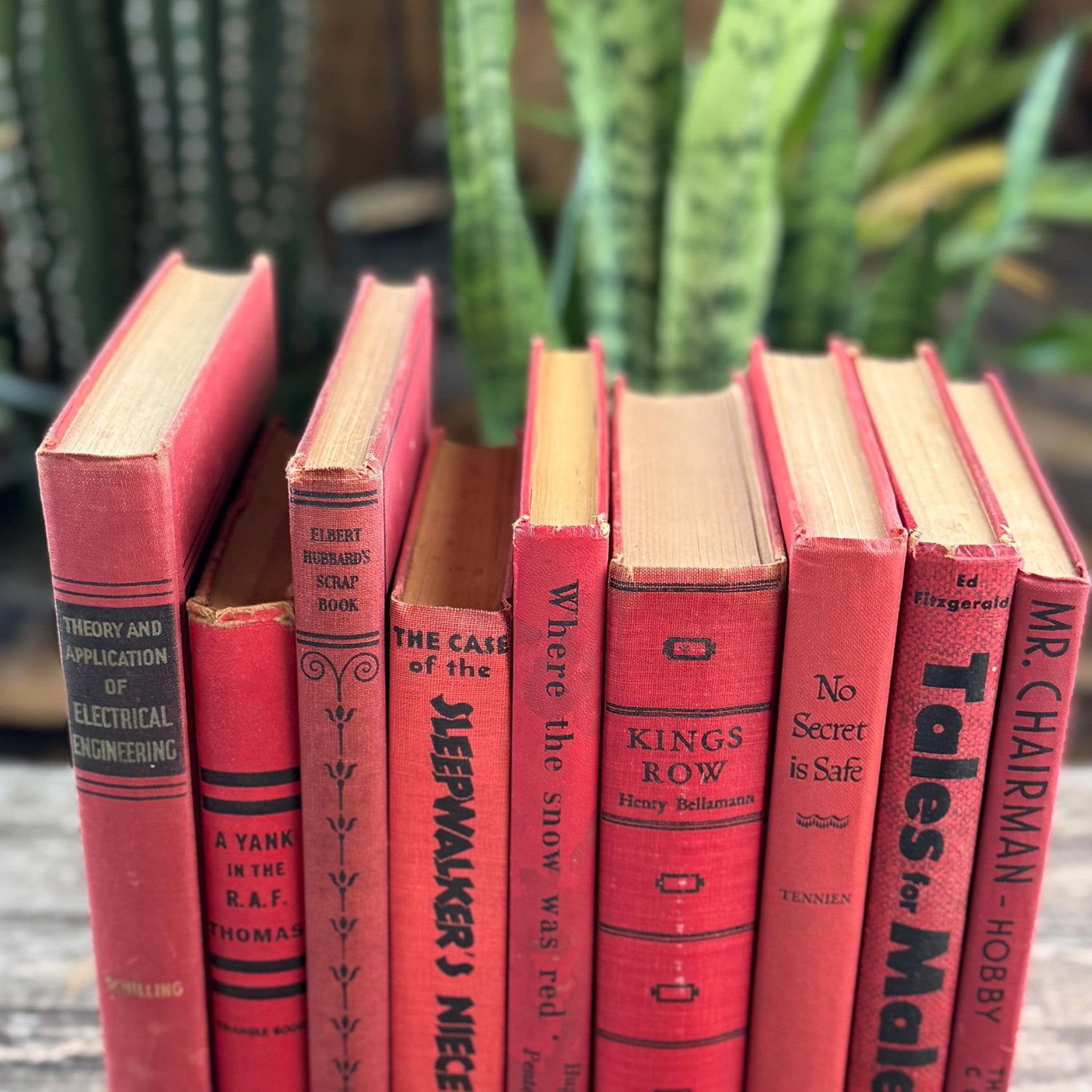 Mid-Century Red Black Book Collection for Shelf Styling - Pretty Old Books