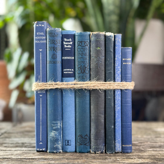 Mini Blue Vintage Book Set for Shelf and Nightstand Styling - Pretty Old Books
